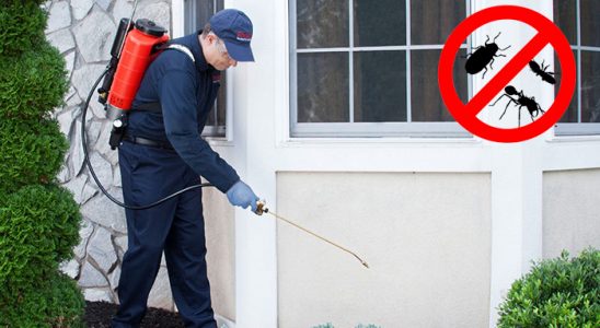 Evka 2 Tahtakurusu İlaçlama böcek ilaçlama ve haşere kontrolü — ilaclama-tr.com